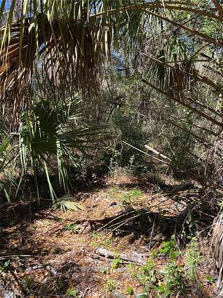 0.22 Acres of Residential Land for Sale in Dunnellon, Florida