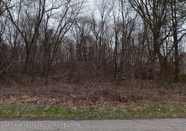 Land for Sale in Owosso, Michigan