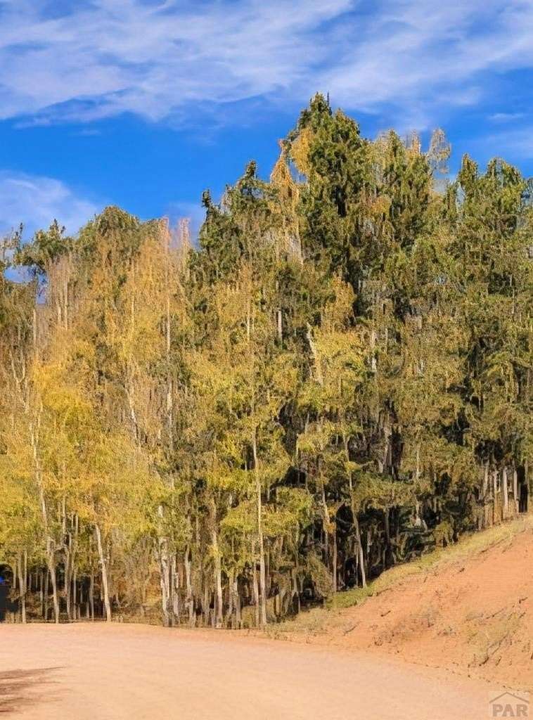 3.32 Acres of Residential Land for Sale in Cripple Creek, Colorado