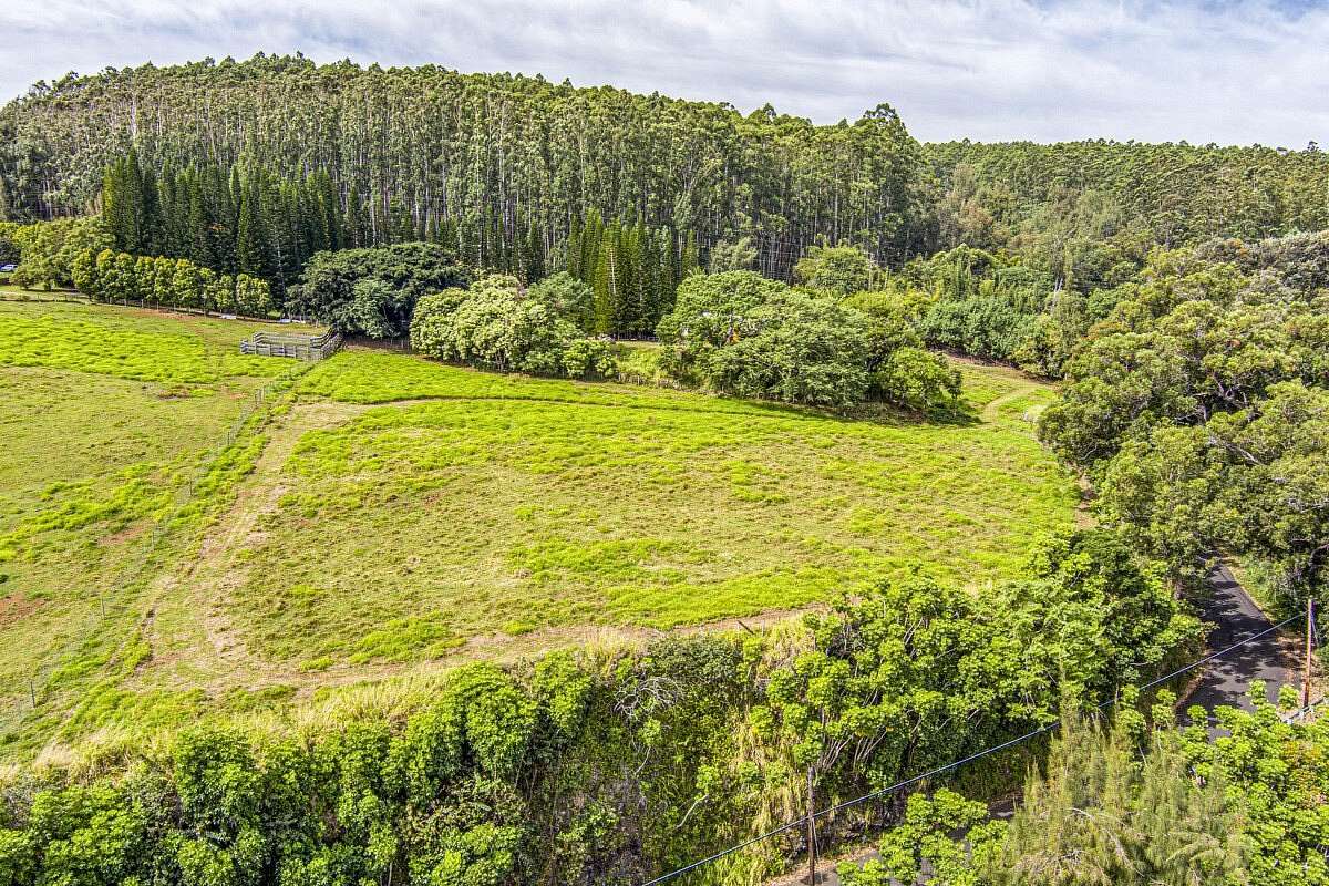 3 Acres of Residential Land for Sale in Laupahoehoe, Hawaii