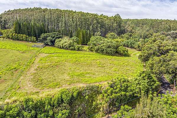 3 Acres of Residential Land for Sale in Laupahoehoe, Hawaii