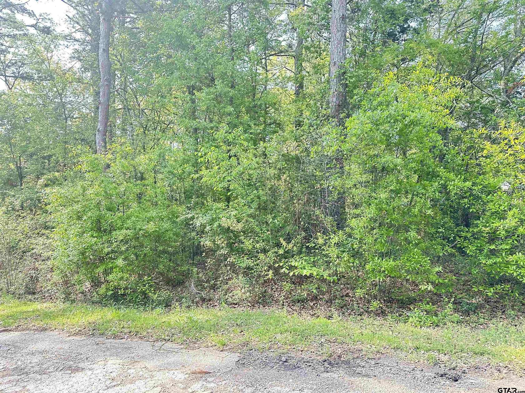 0.3 Acres of Residential Land for Sale in Frankston, Texas