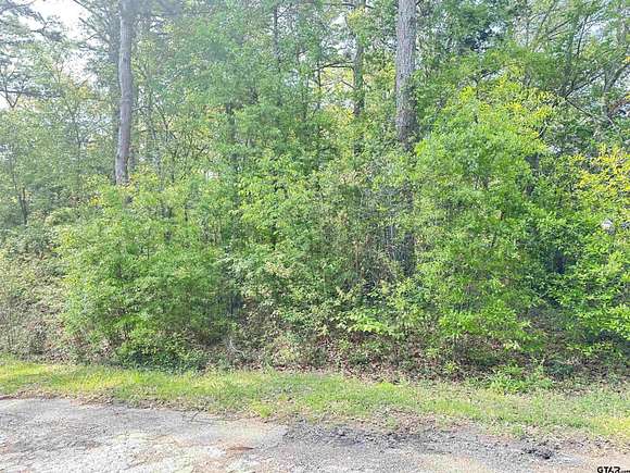 0.3 Acres of Residential Land for Sale in Frankston, Texas