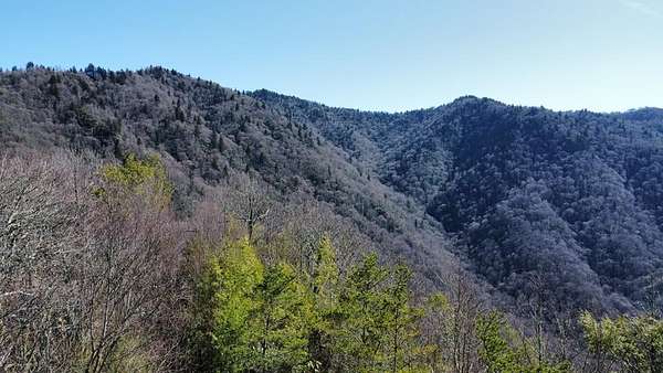 15.7 Acres of Land for Sale in Cherokee, North Carolina
