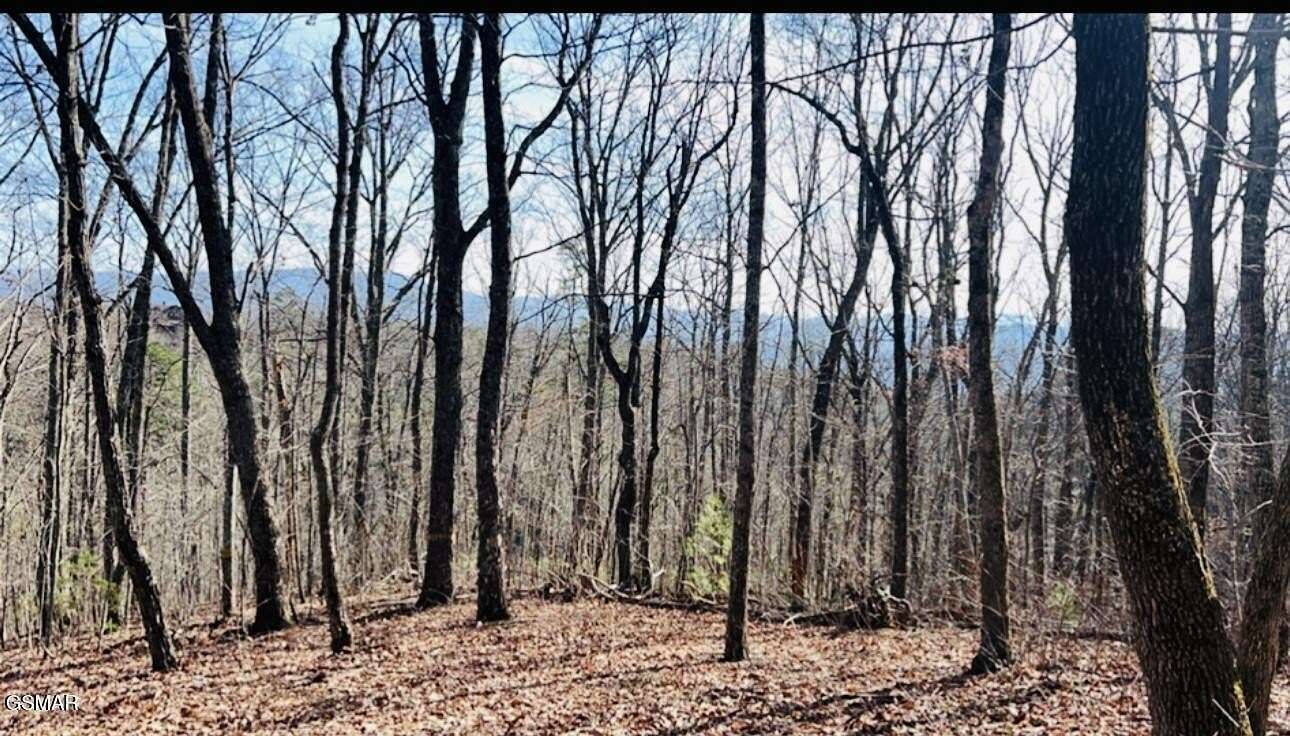 1 Acre of Residential Land for Sale in Sevierville, Tennessee