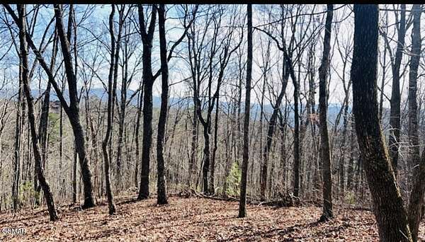 1 Acre of Residential Land for Sale in Sevierville, Tennessee
