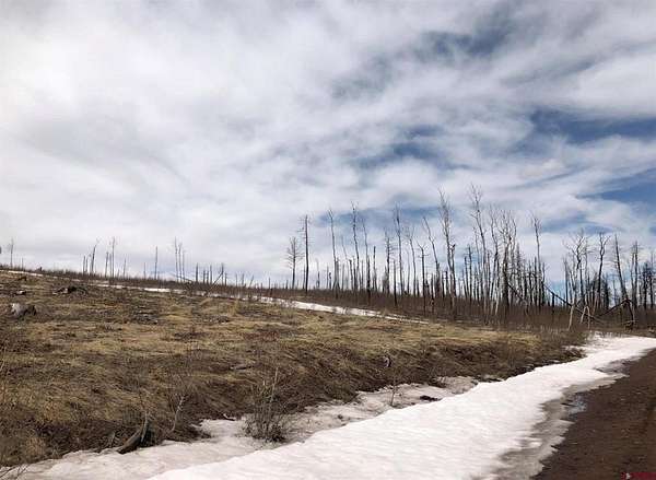 5.19 Acres of Land for Sale in Fort Garland, Colorado