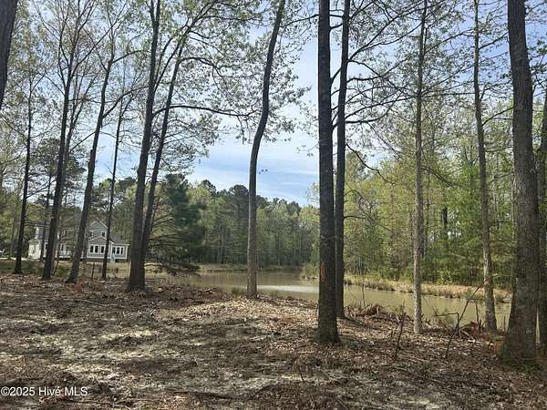 0.3 Acres of Residential Land for Sale in Hertford, North Carolina