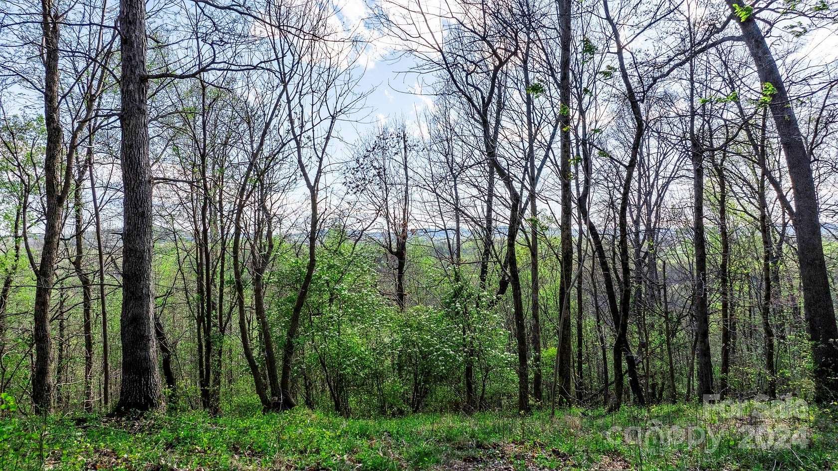 26 Acres of Recreational Land for Sale in North Wilkesboro, North Carolina