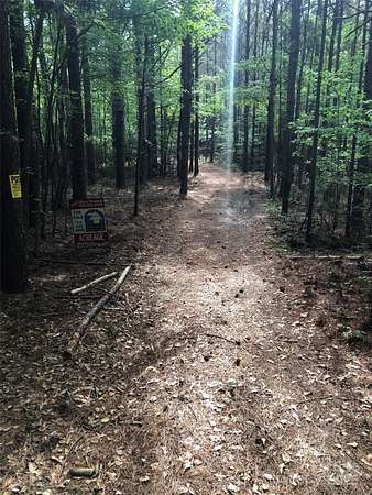 70 Acres of Land for Sale in Mount Gilead, North Carolina