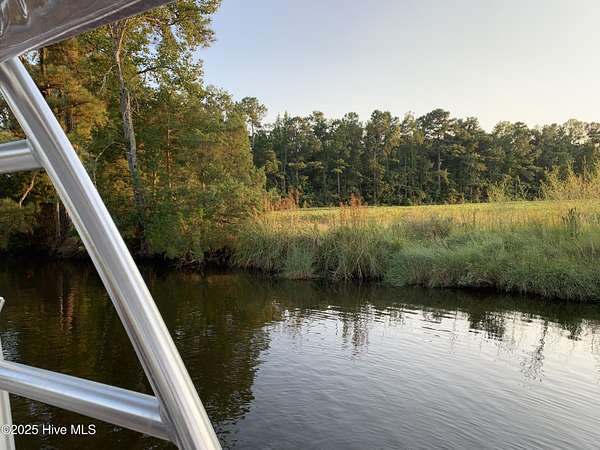 87.5 Acres of Recreational Land for Sale in Bayboro, North Carolina