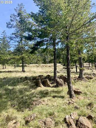 5.3 Acres of Residential Land for Sale in Gold Beach, Oregon