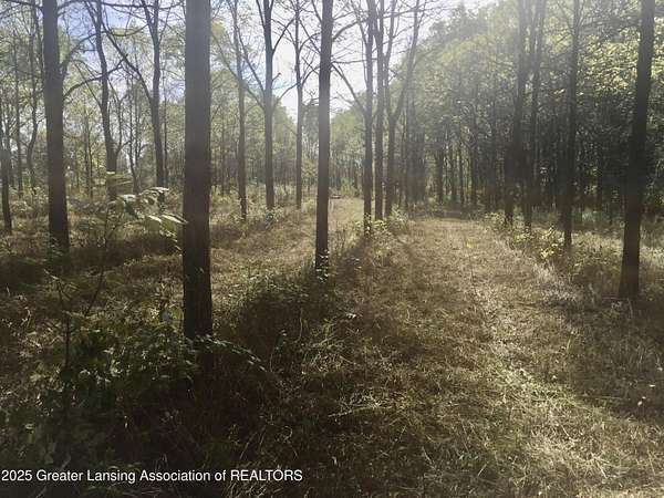 17 Acres of Land for Sale in DeWitt, Michigan