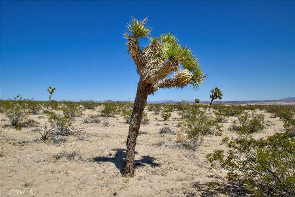 5 Acres of Land for Sale in Joshua Tree, California