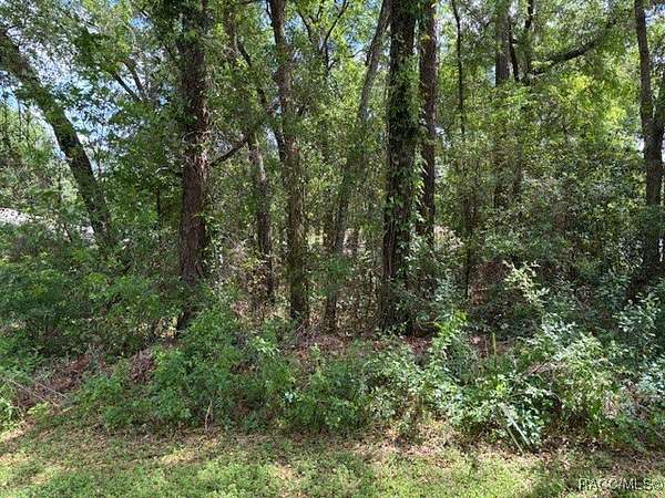 0.22 Acres of Residential Land for Sale in Inverness, Florida