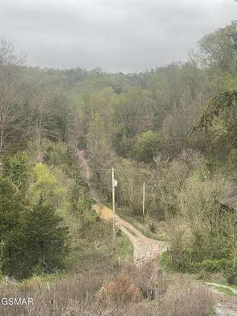 10 Acres of Land for Sale in Parrottsville, Tennessee