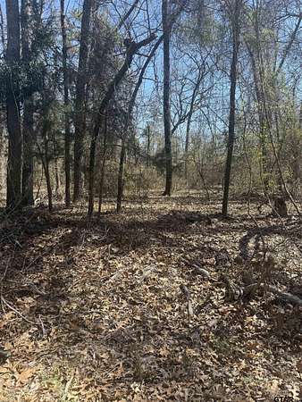 0.42 Acres of Residential Land for Sale in Scroggins, Texas