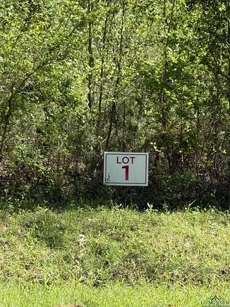 3.8 Acres of Residential Land for Sale in Henderson, Texas