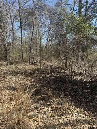 1.25 Acres of Residential Land for Sale in Scroggins, Texas