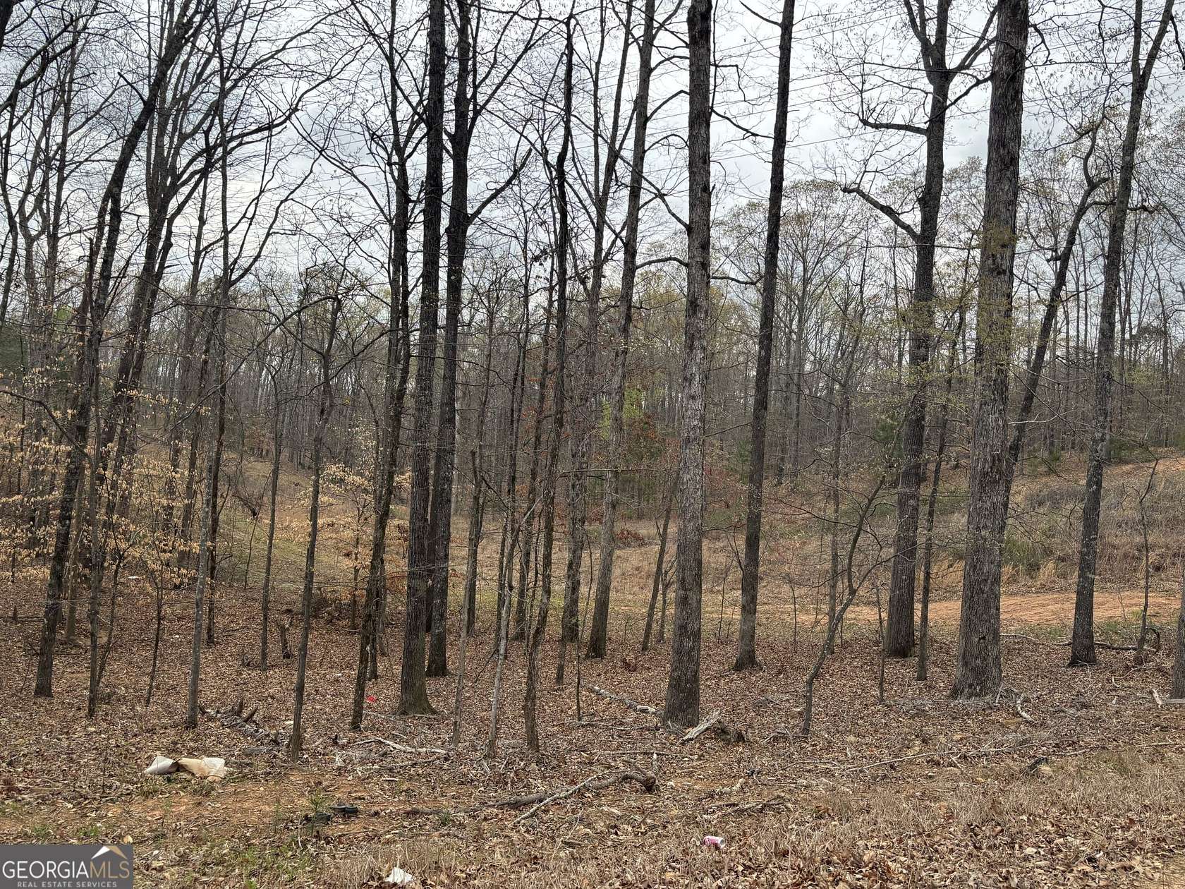 5 Acres of Commercial Land for Sale in Lithia Springs, Georgia