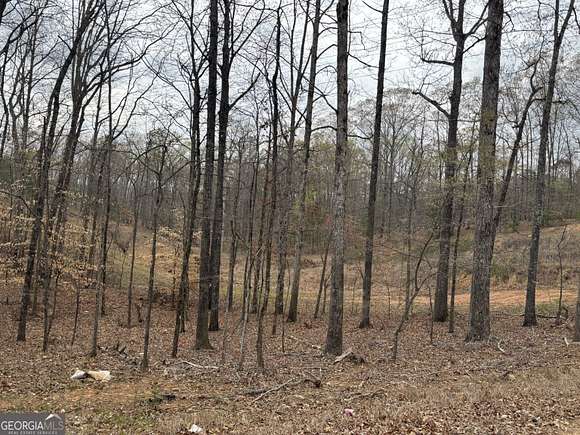 5 Acres of Commercial Land for Sale in Lithia Springs, Georgia