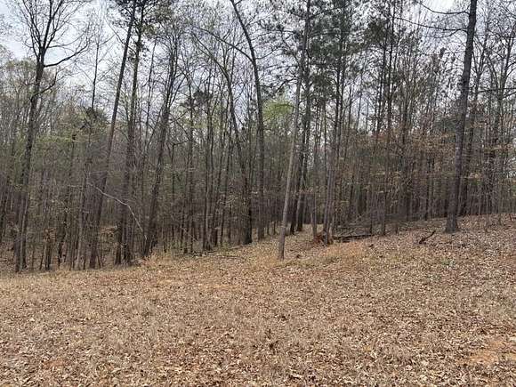5 Acres of Commercial Land for Sale in Lithia Springs, Georgia