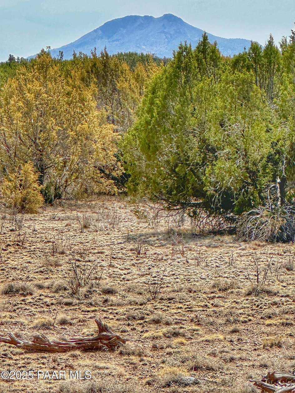 27.2 Acres of Recreational Land for Sale in Seligman, Arizona