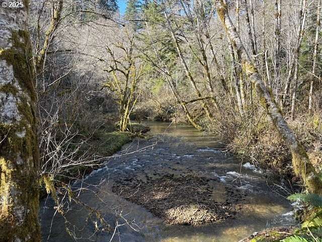200 Acres of Land for Sale in Blodgett, Oregon