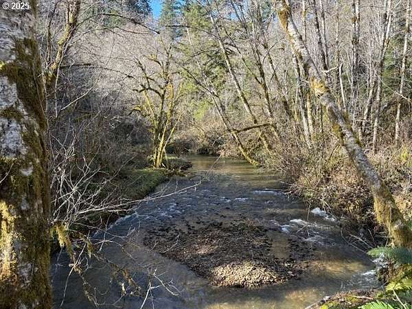 200 Acres of Land for Sale in Blodgett, Oregon