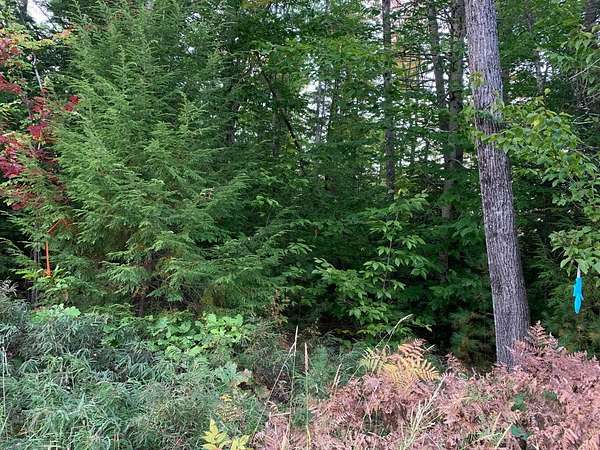 53.6 Acres of Recreational Land for Sale in Bridgton, Maine