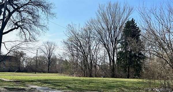 0.11 Acres of Residential Land for Sale in Detroit, Michigan