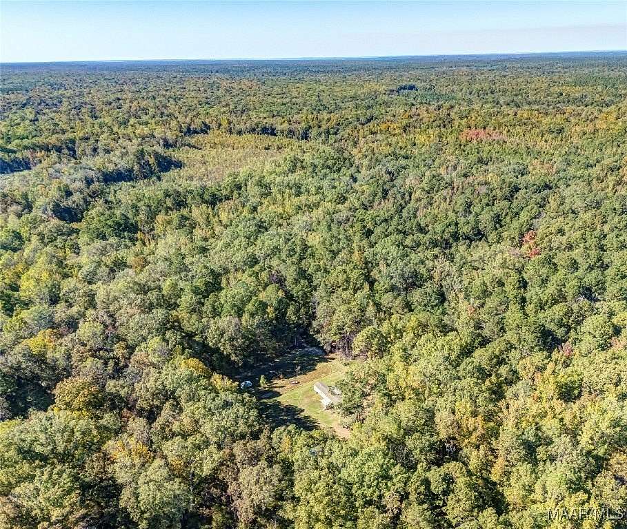 42 Acres of Recreational Land for Sale in Fort Davis, Alabama