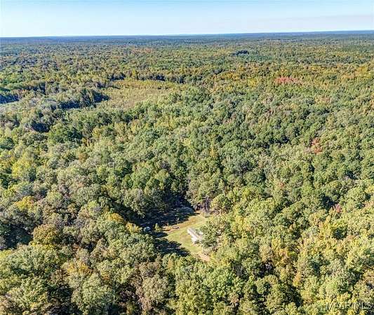 42 Acres of Recreational Land for Sale in Fort Davis, Alabama
