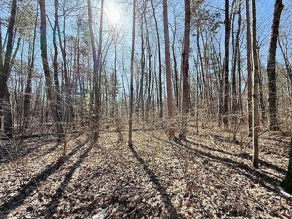 1 Acre of Residential Land for Sale in Hayward, Wisconsin