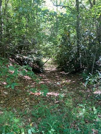 5.28 Acres of Residential Land for Sale in Scaly Mountain, North Carolina