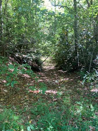 5.28 Acres of Residential Land for Sale in Scaly Mountain, North Carolina