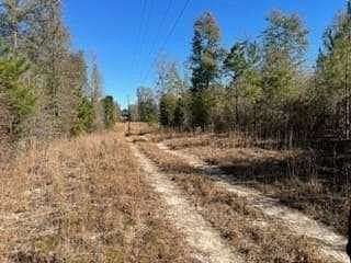 59 Acres of Recreational Land for Sale in Fort Gaines, Georgia