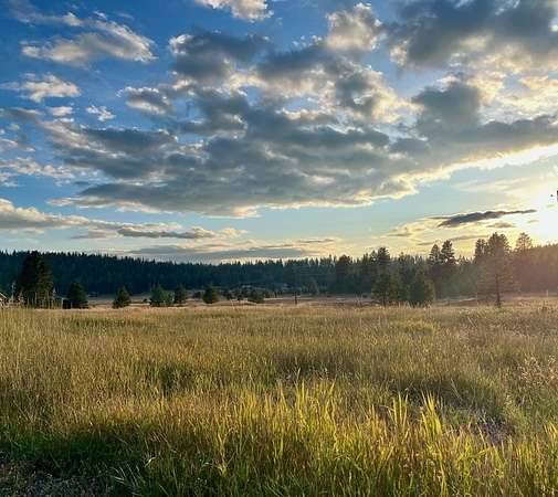 2.14 Acres of Land for Sale in McCall, Idaho