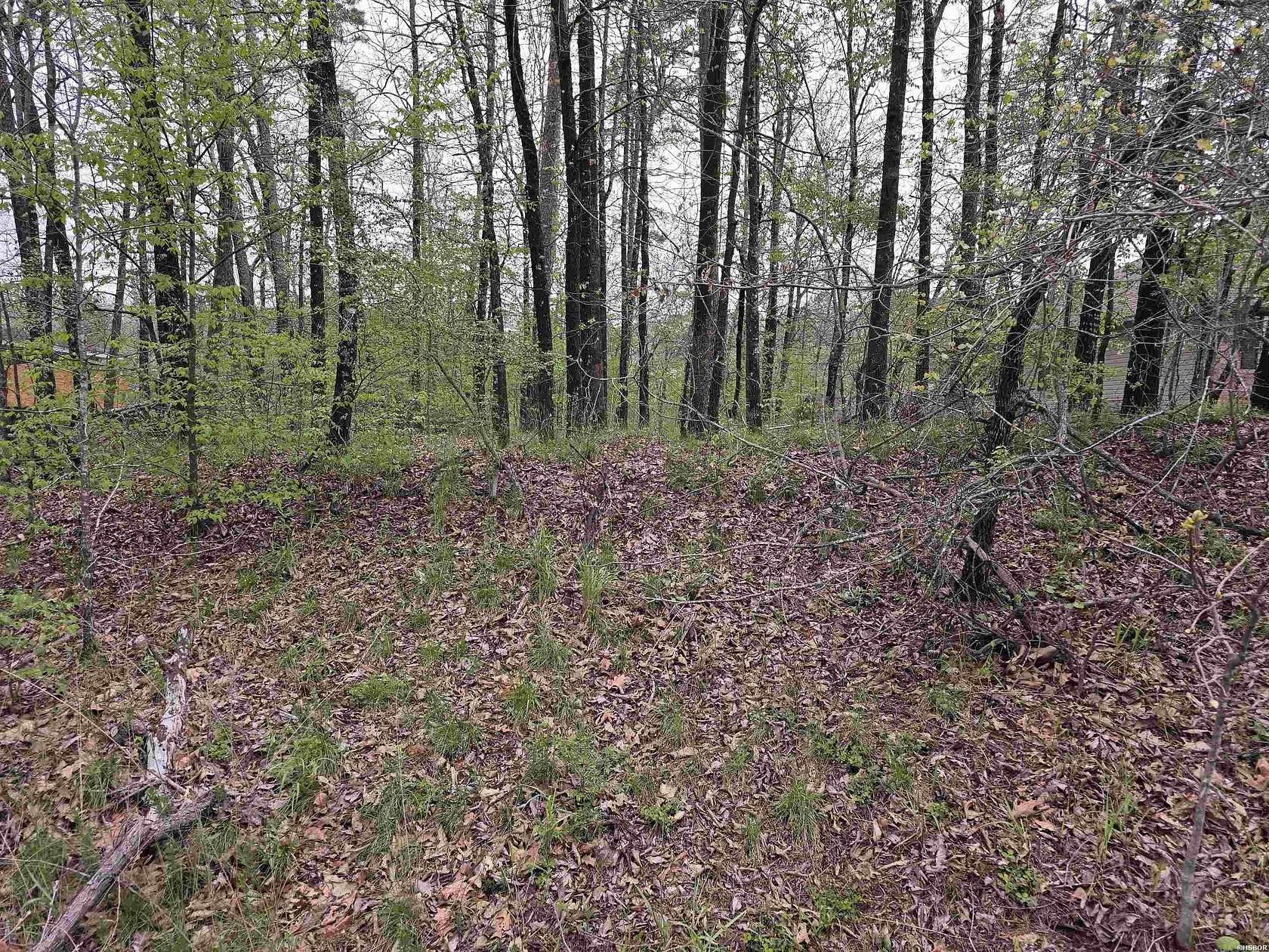0.34 Acres of Land for Sale in Hot Springs, Arkansas