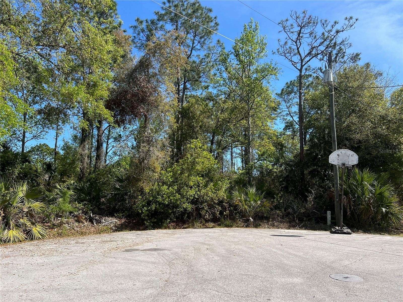 0.26 Acres of Residential Land for Sale in Palm Coast, Florida