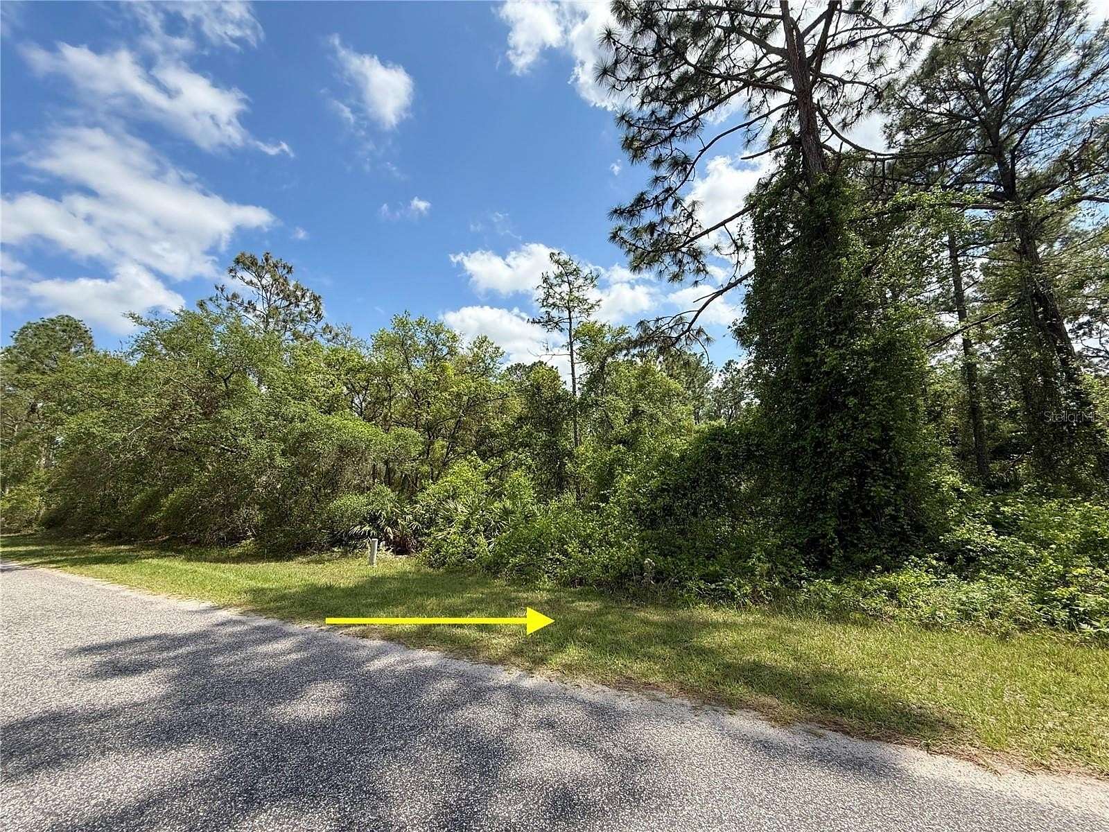 1 Acre of Residential Land for Sale in Eustis, Florida