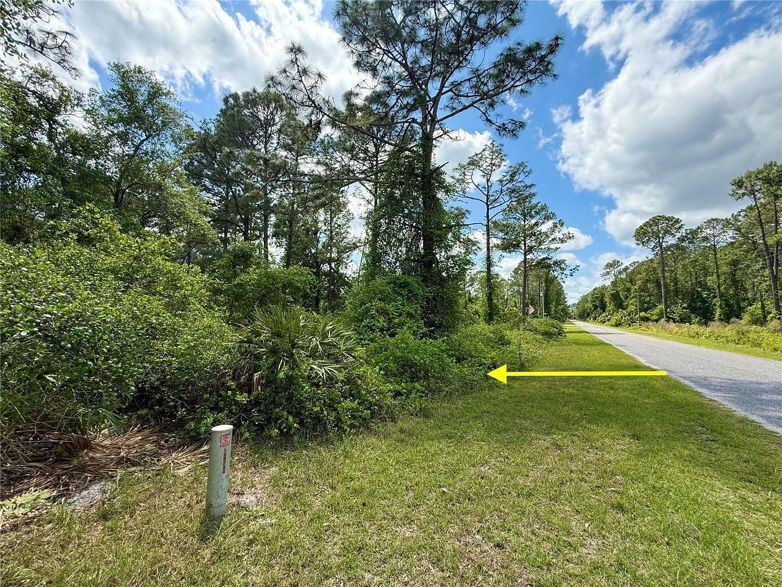 1 Acre of Residential Land for Sale in Eustis, Florida
