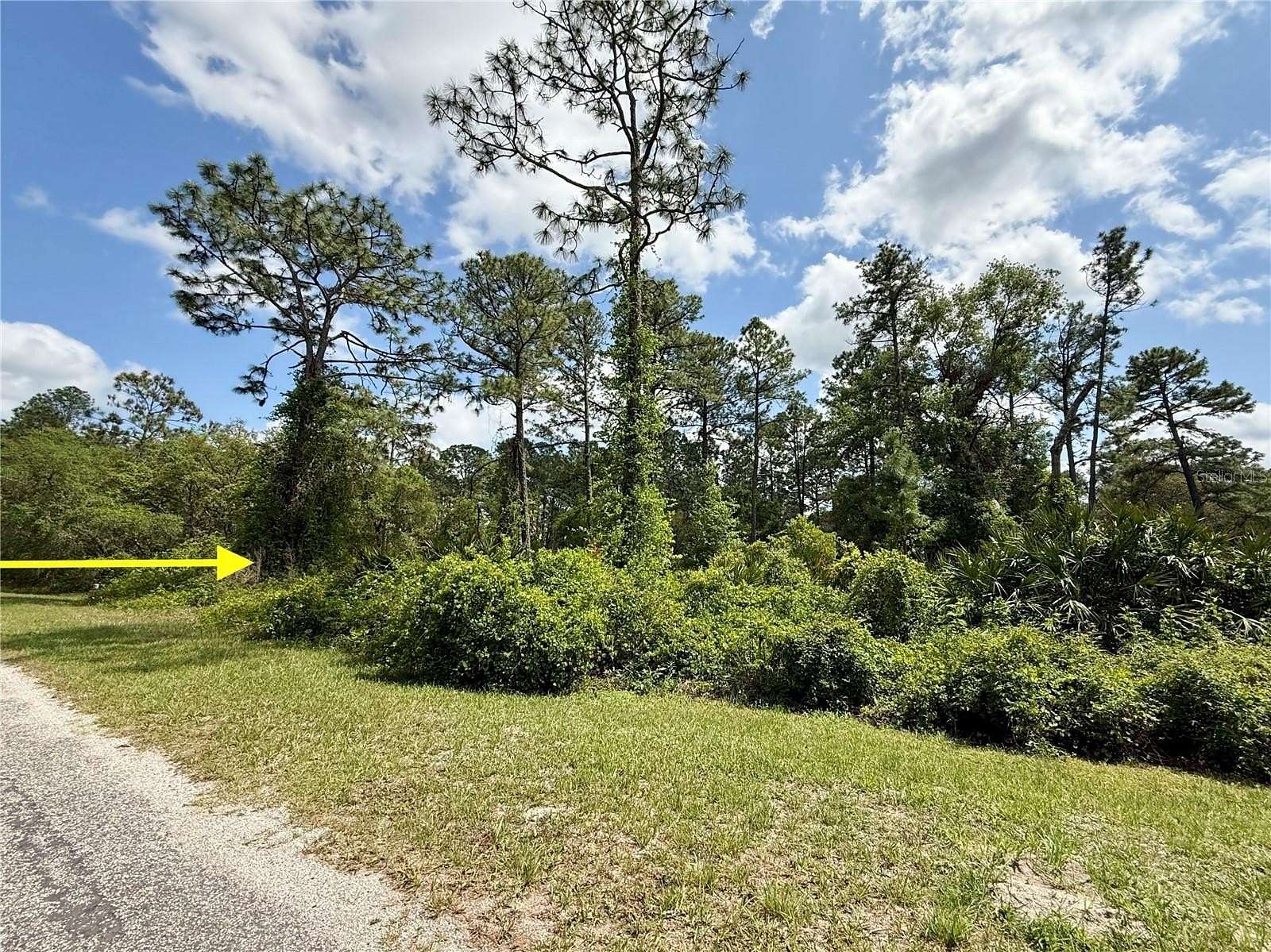 1 Acre of Residential Land for Sale in Eustis, Florida