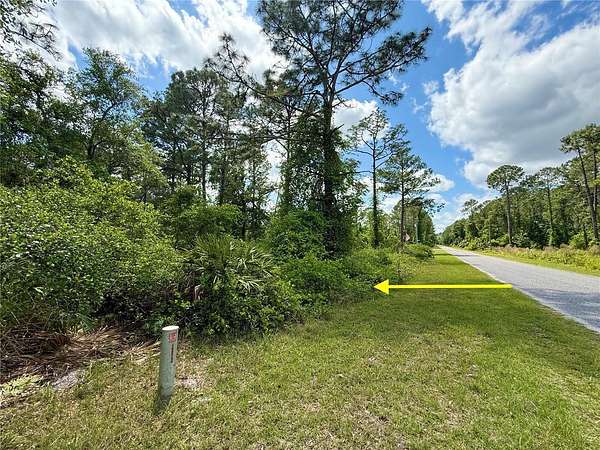 1 Acre of Residential Land for Sale in Eustis, Florida