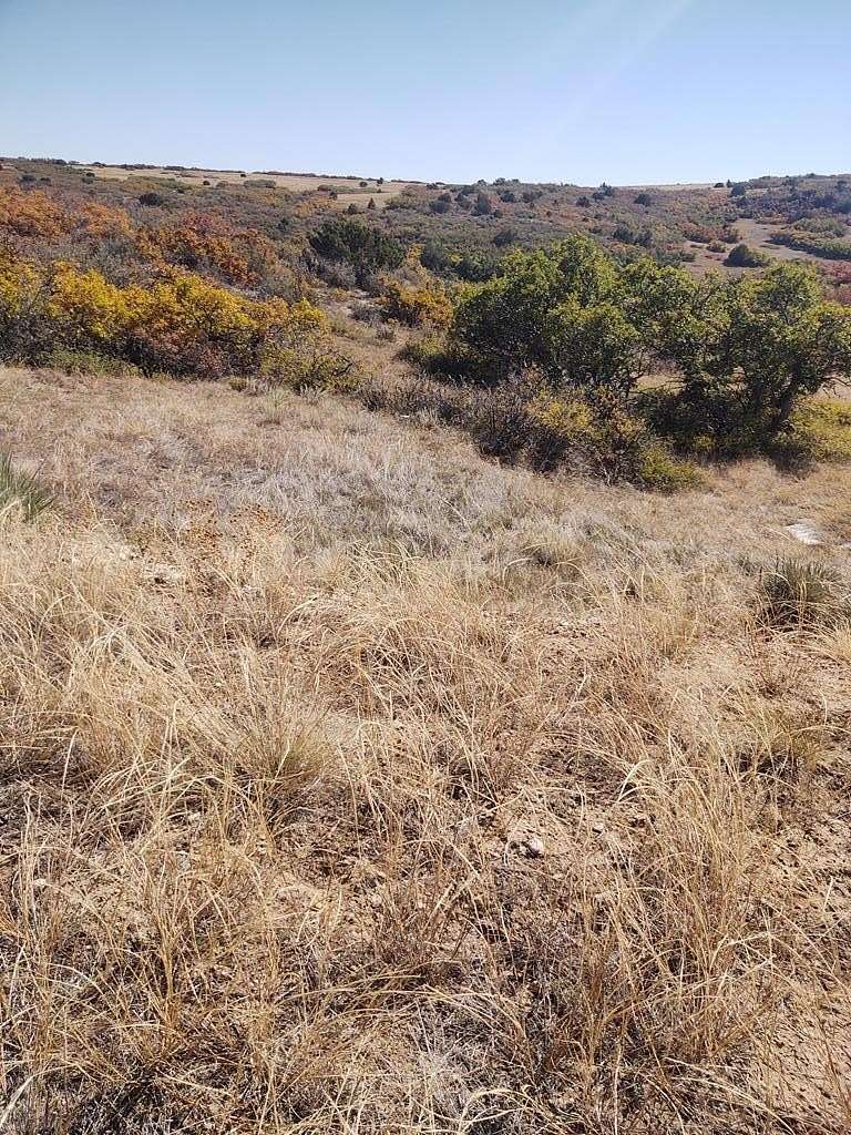 0.35 Acres of Residential Land for Sale in Colorado City, Colorado