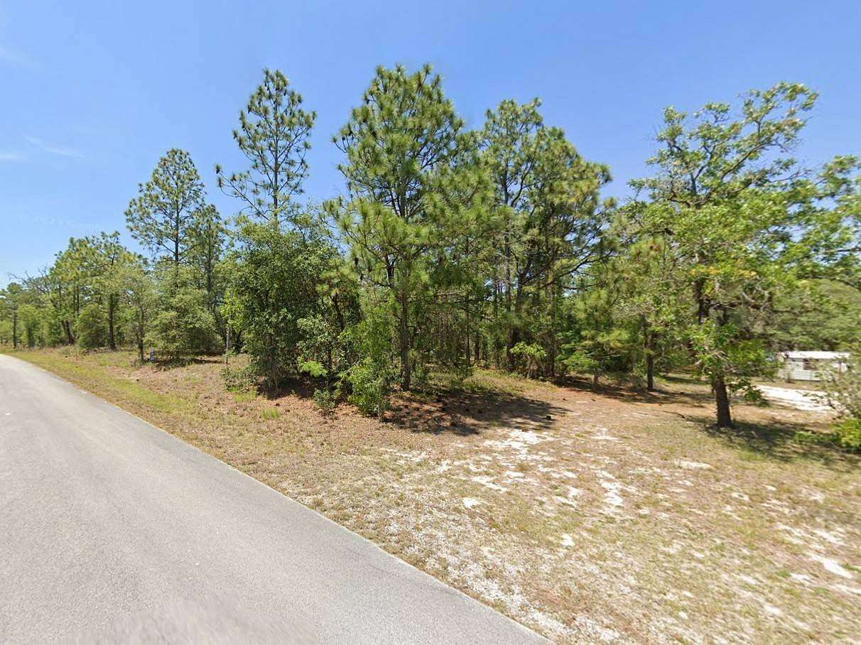 1 Acre of Residential Land for Sale in Dunnellon, Florida