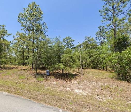 1 Acre of Residential Land for Sale in Dunnellon, Florida
