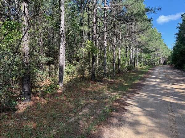 12.2 Acres of Recreational & Residential Land for Sale in Kennard, Texas