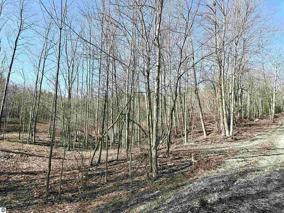 15.6 Acres of Recreational Land for Sale in Maple City, Michigan