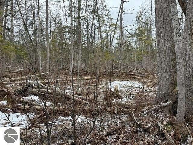 3.2 Acres of Residential Land for Sale in Honor, Michigan